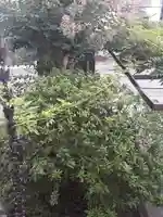 西方山極楽寺(岐阜県)