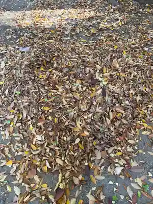 小野神社(東京都)