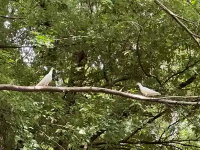 靖國神社(東京都)