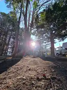 美幌神社(北海道)(2025年11月26日(水) 17時11分53秒投稿)