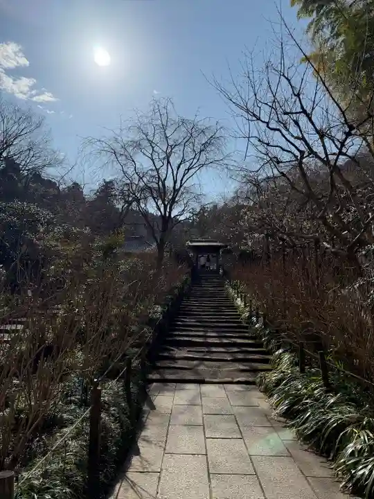 明月院(神奈川県)