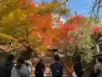 安楽寺(京都府)