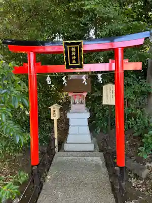 川越八幡宮(埼玉県)