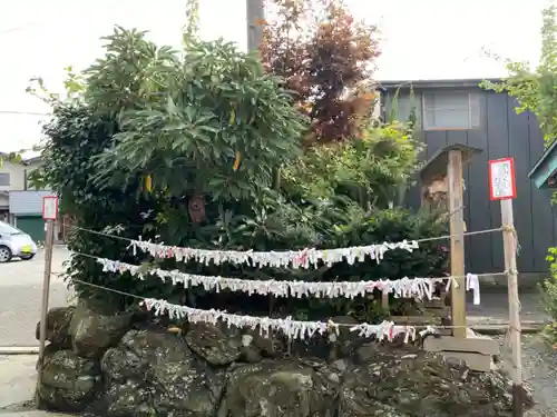 三皇熊野神社里宮のおみくじ