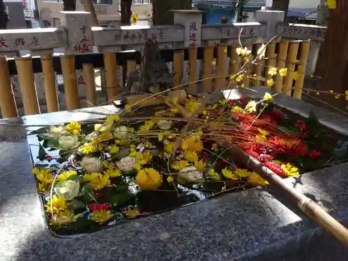 高円寺氷川神社の手水