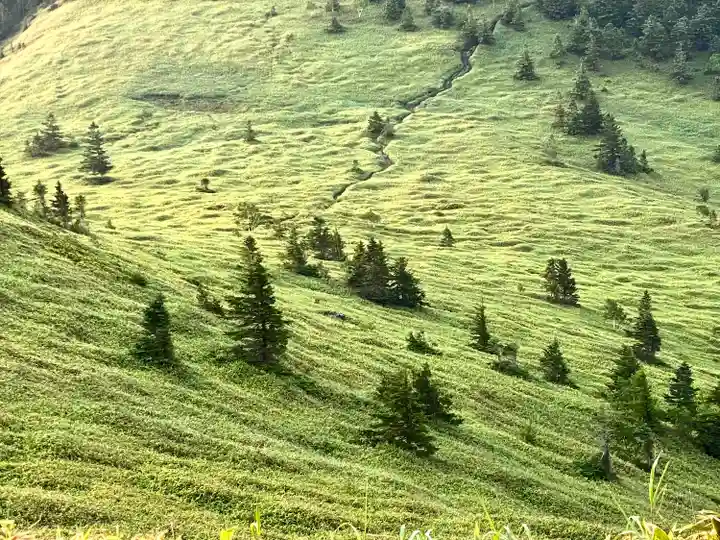 禰固岳神社(長野県)