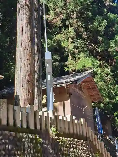 九頭龍神社(東京都)