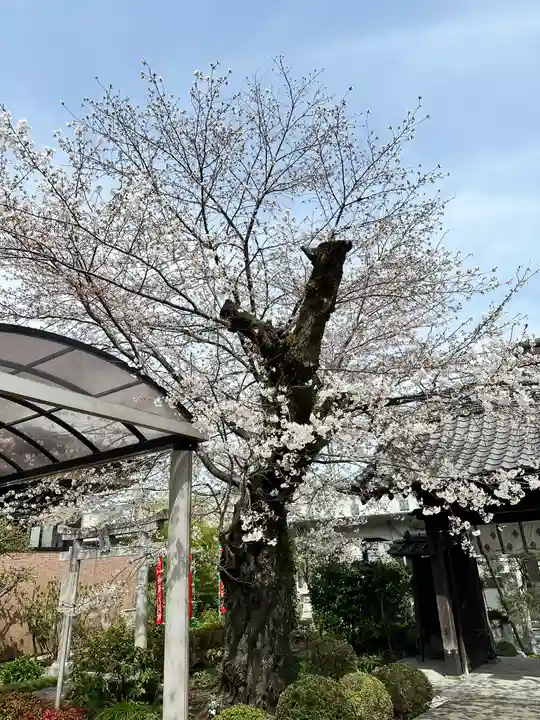 大光寺(東京都)