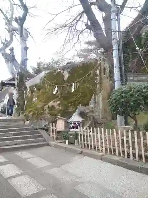 阿智神社の末社・摂社