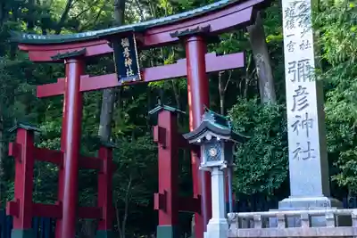 彌彦神社の鳥居