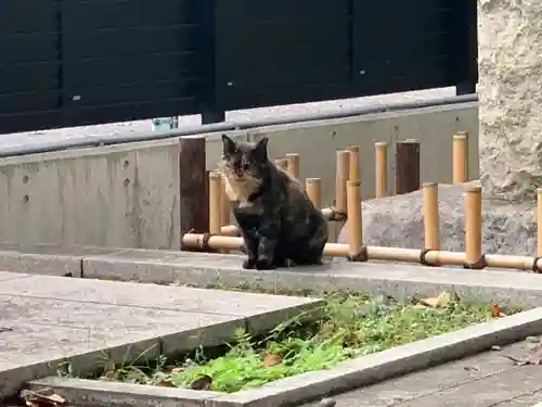 吉祥寺(東京都)