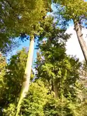 香取神宮(千葉県)