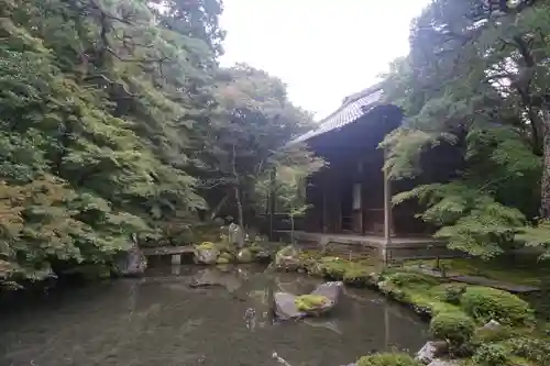 蓮華寺（洛北蓮華寺）の庭園