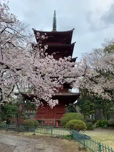 法華経寺のその他建物