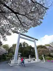 櫻木神社(千葉県)