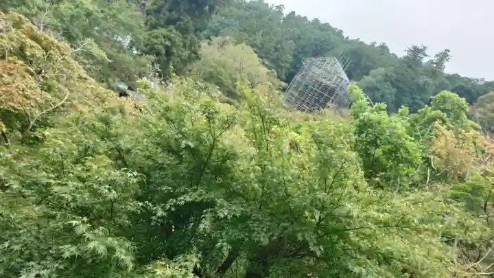 長谷寺(奈良県)