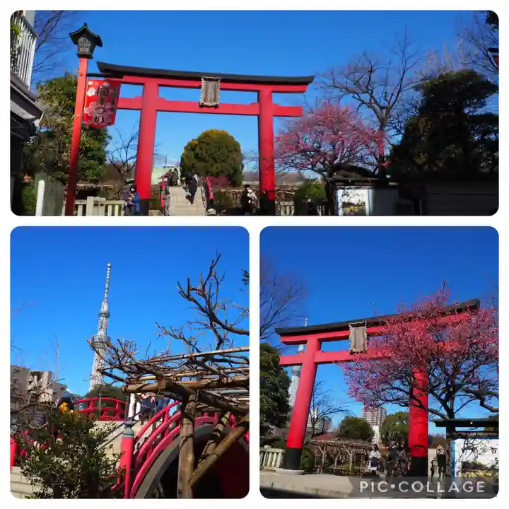 亀戸天神社(東京都)
