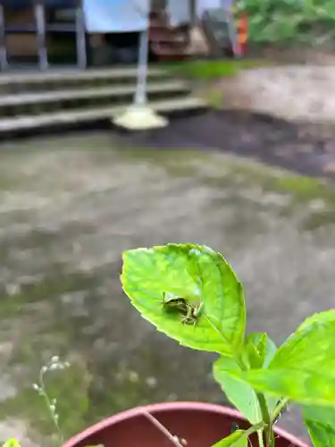 大宮温泉神社(栃木県)