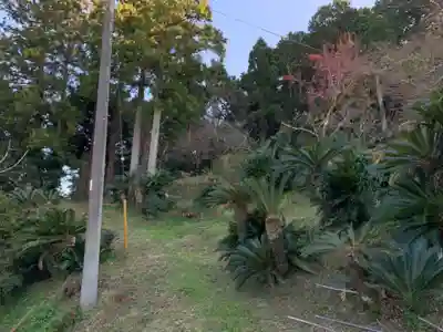 莫越山神社奥宮の周辺
