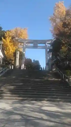 徳力神宮(神理教本院)の鳥居