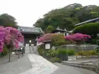 安養院 (田代寺)の山門・神門