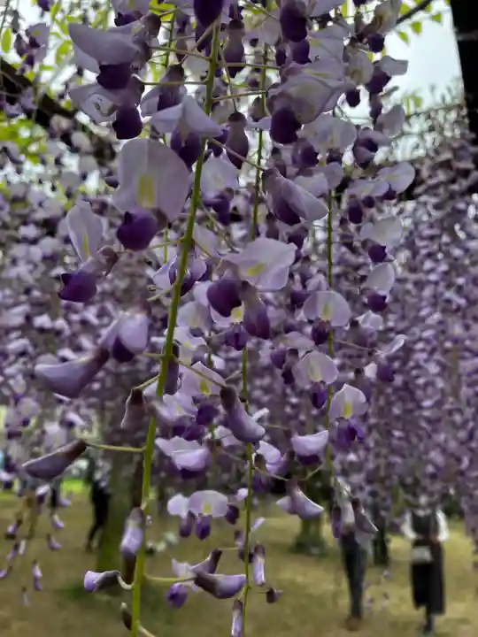 和氣神社(和気神社)(岡山県)