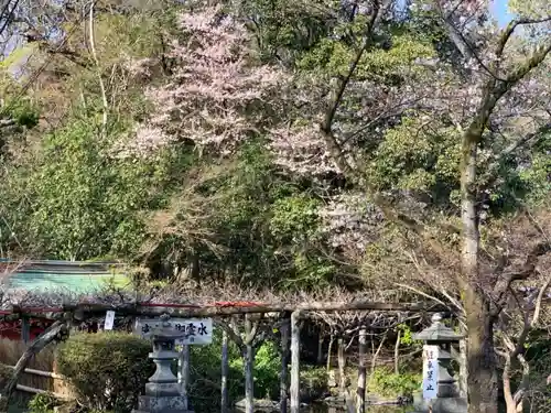 富士山本宮浅間大社の庭園