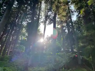 大宮温泉神社(栃木県)