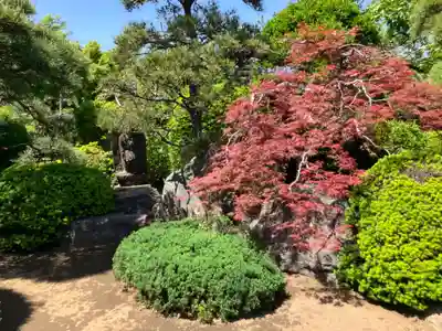 高源院(東京都)