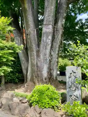大善院(東京都)
