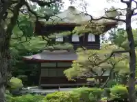 慈照寺(慈照禅寺・銀閣寺)(京都府)
