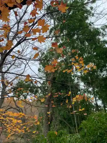 得大勢至(福島県)