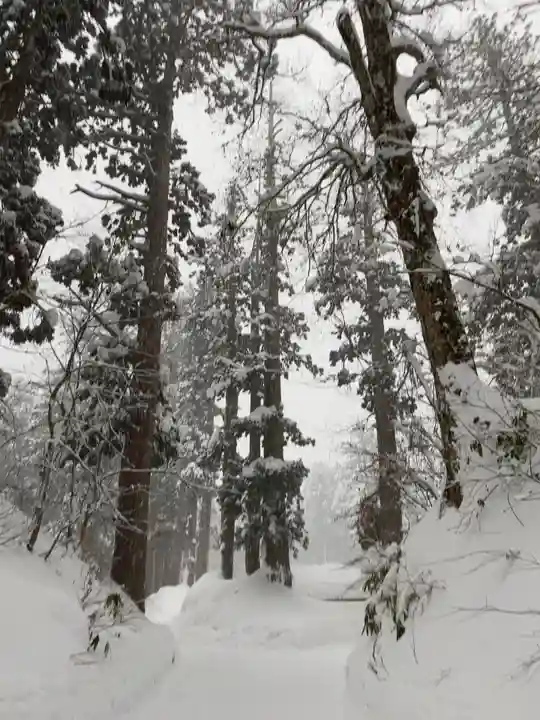 出羽神社(出羽三山神社)~三神合祭殿~の周辺