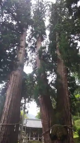 菅原神社の自然