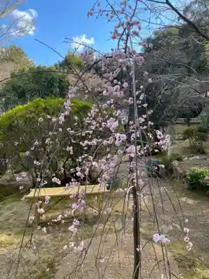 法寳閣檀林寺(京都府)