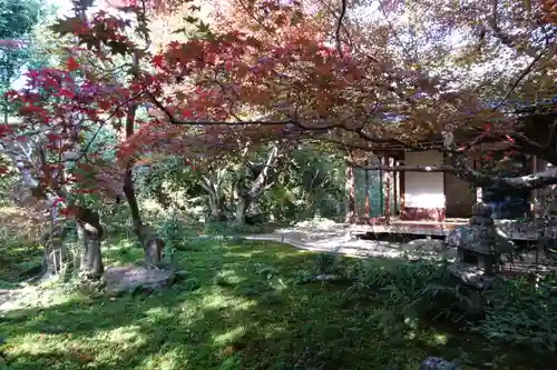 厭離庵の庭園