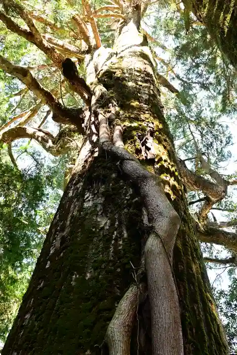 河内神社(高知県)