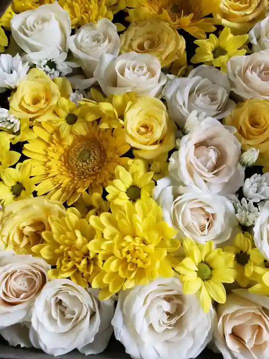 熊野神社(東京都)