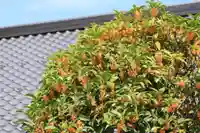 豊景神社の庭園