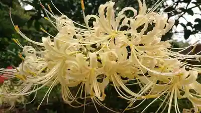 三崎稲荷神社の自然