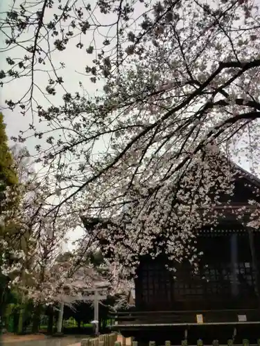 熊野神社(東京都)