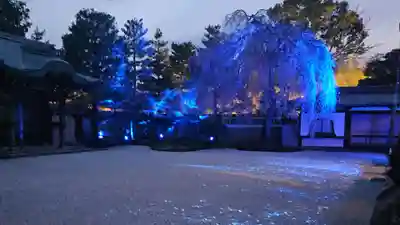 高台寺（高台寿聖禅寺・高臺寺）(京都府)