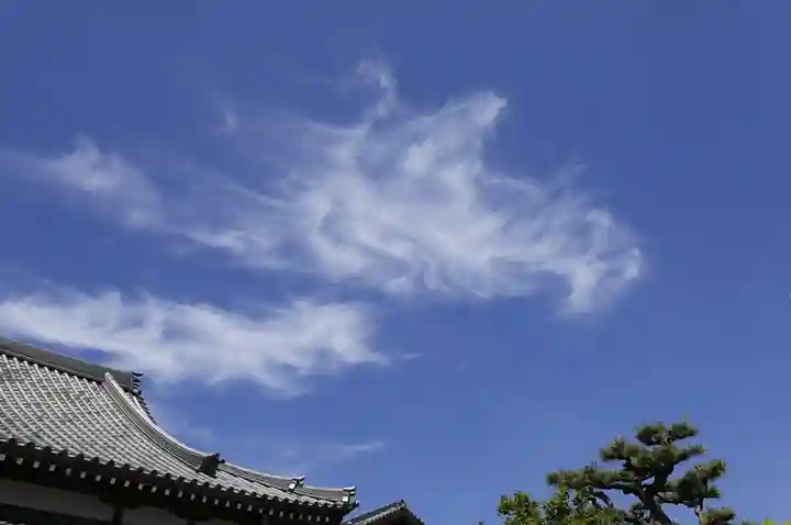 大松禅寺(京都府)