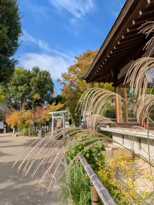 鳩森八幡神社(東京都)