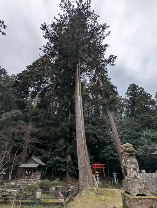 粟鹿神社の{uncategorized: "未分類", other: "その他", undefined: "問題あり", building: "その他建物", grave: "お墓", sacred_gate: "鳥居", guardian: "狛犬", statue: "像", buddha: "仏像", history: "歴史", nature: "自然", garden: "庭園", animal: "動物", pagoda: "塔", temizu: "手水舎", mountain_gate: "山門・神門", sanctuary: "本殿・本堂", subordinate: "末社・摂社", art: "芸術", scenery: "景色", jizo: "地蔵", ema: "絵馬", goshuin: "御朱印", omikuji: "おみくじ", items: "授与品その他", amulet: "お守り", goshuincho: "御朱印帳", eats: "食事", festival: "お祭り", votive_dance: "神楽", shichigosan: "七五三参", wedding: "結婚式", experience: "体験その他", initially: "初詣", around: "周辺", anti_infection: "感染症対策"}