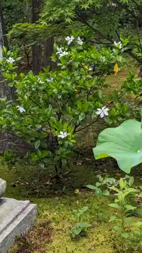 勝林寺(京都府)