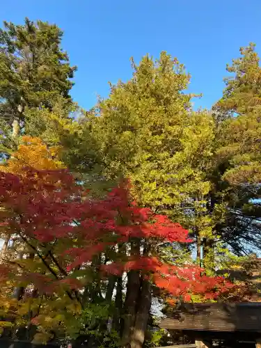 角館総鎮守 神明社(秋田県)