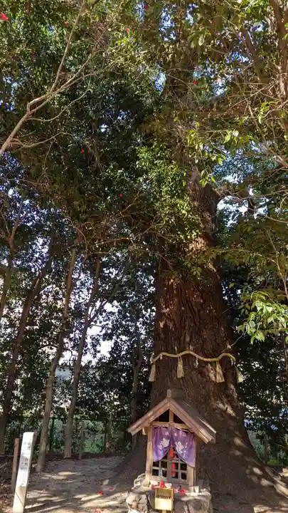 雙栗神社(京都府)