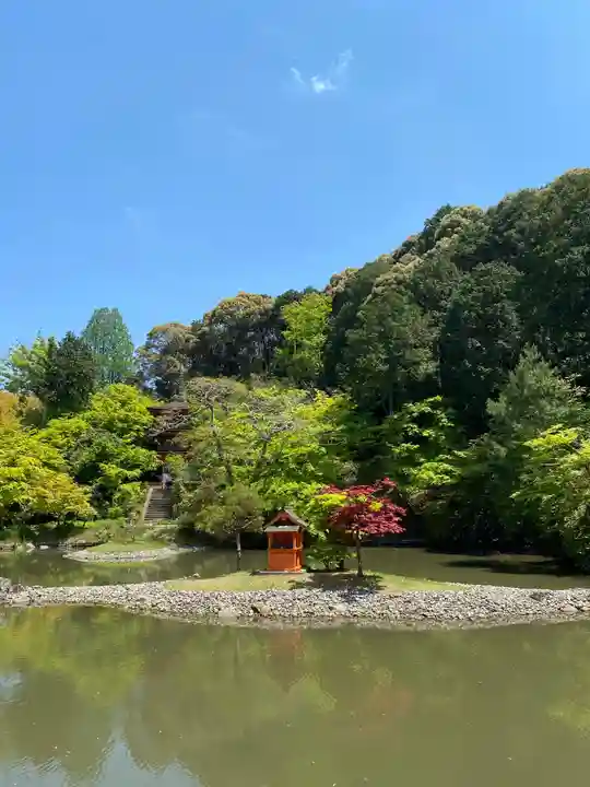 浄瑠璃寺の庭園