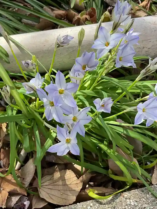 富部神社(愛知県)